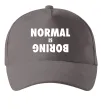 Кепка Normal is boring Серый фото