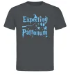 Мужская футболка Expecting patronum Графит Мужская футболка Expecting patronum Графит фото