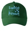 Кепка Expecting patronum Темно-зеленый Кепка Expecting patronum Темно-зеленый фото