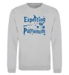Світшот Expecting patronum Сірий меланж фото