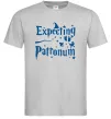 Мужская футболка Expecting patronum Серый Мужская футболка Expecting patronum Серый фото