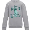 Детский Свитшот New York Liberty Серый меланж фото