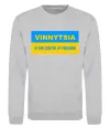 Свитшот Vinnytsia center of freedom Серый меланж фото