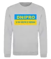 Свитшот Dnipro center of freedom Серый меланж фото