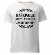 Чоловіча преміум футболка Найкраще місто України Житомир Білий фото