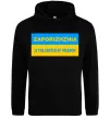 Женская толстовка (худи) Zaporizhzhia center of freedom Черный фото