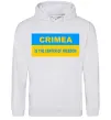 Мужская толстовка (худи) Crimea center of freedom Серый меланж фото