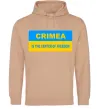 Мужская толстовка (худи) Crimea center of freedom Песочный фото