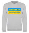 Свитшот Kharkiv center of freedom Серый меланж фото