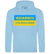 Женская толстовка (худи) Kharkiv center of freedom Голубой фото