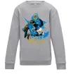 Детский Свитшот Lionel Messi з кубком Серый меланж фото