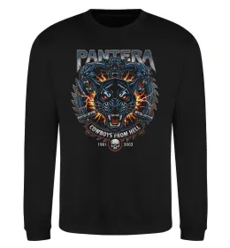Свитшот Pantera 1981-2003 Черный фото