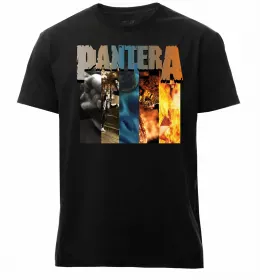 Мужская премиум футболка Pantera Vulgar display of power Черный фото