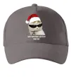 Кепка Кіт ласт крістмас Серый фото