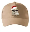 Кепка Кіт ласт крістмас Песочный фото