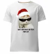 Чоловіча преміум футболка Кіт ласт крістмас Білий фото