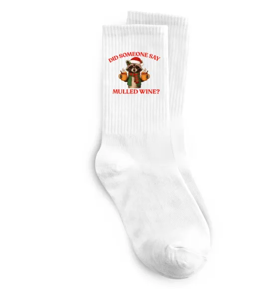 Носки Єнот з глінтвейном Белый фото