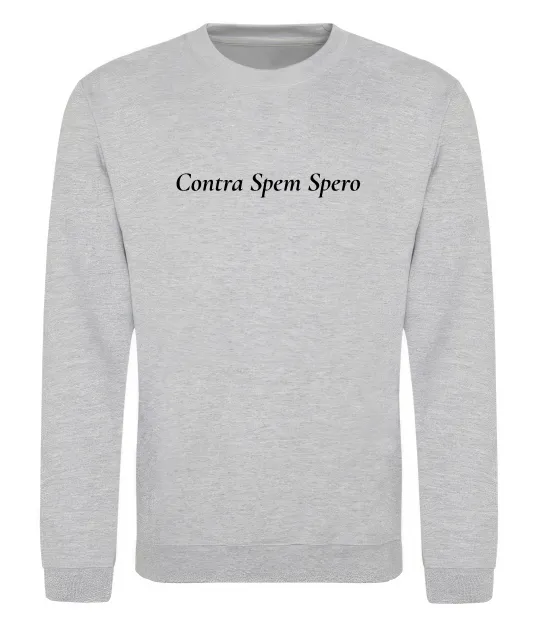 Свитшот Contra Spem Spero Серый меланж фото