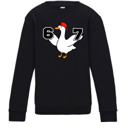 Детский Свитшот Гусак 6-7