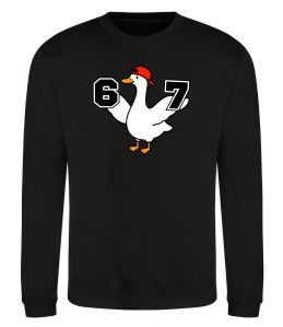 Свитшот Гусак 6-7