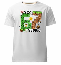 Мужская премиум футболка Minecraft six seven