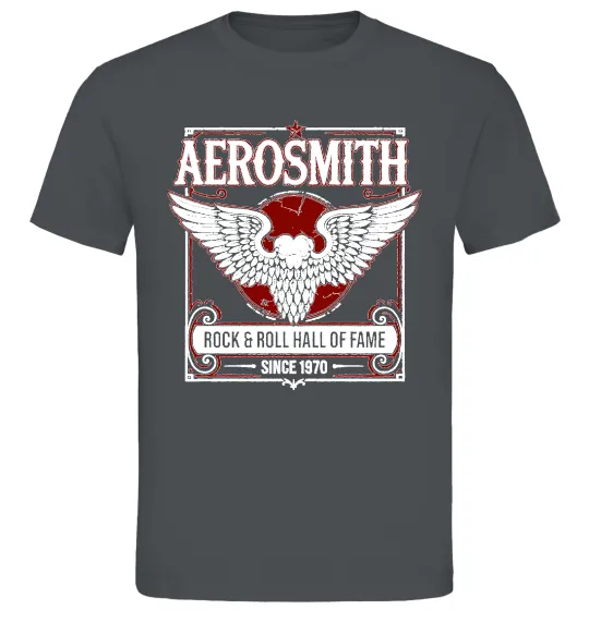 Мужская футболка Aerosmith hall of fame Графит фото