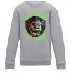 Детский Свитшот Freddy Are you ready Серый меланж фото