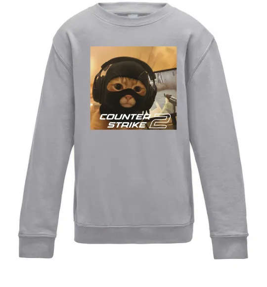 Детский Свитшот Cat terrorist CS Серый меланж фото