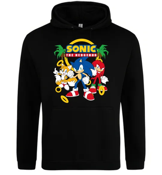 Жіноча толстовка (худі) Sonic the Hedgehog Чорний фото