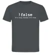 Мужская футболка !false it`s true Графит фото