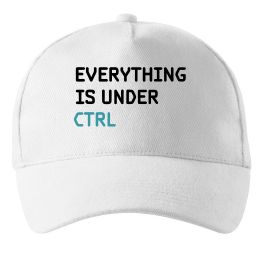 Кепка Everything is under ctrl Кепка Everything is under ctrl