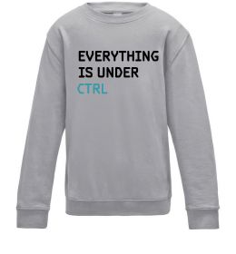 Детский Свитшот Everything is under ctrl Детский Свитшот Everything is under ctrl
