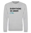 Світшот Everything is under ctrl Сірий меланж Світшот Everything is under ctrl Сірий меланж фото