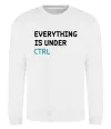 Свитшот Everything is under ctrl Белый Свитшот Everything is under ctrl Белый фото