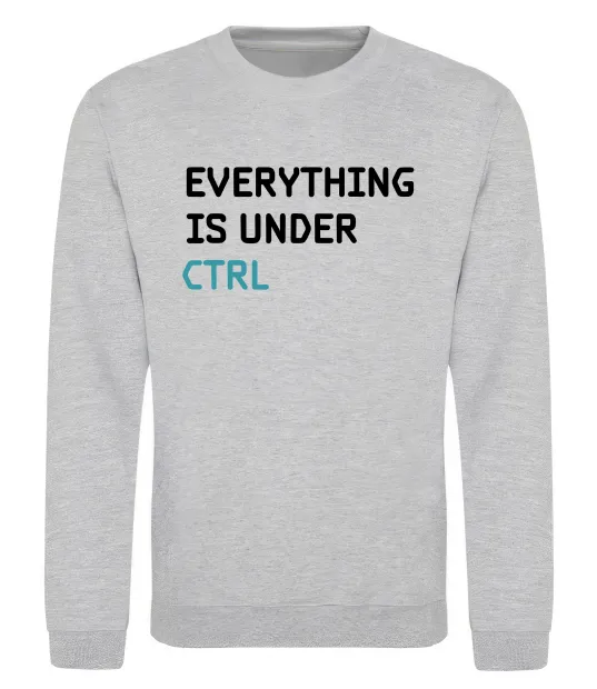 Свитшот Everything is under ctrl Серый меланж фото