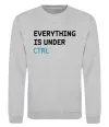 Свитшот Everything is under ctrl Серый меланж Свитшот Everything is under ctrl Серый меланж фото