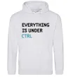 Мужская толстовка (худи) Everything is under ctrl Серый меланж фото
