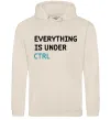 Жіноча толстовка (худі) Everything is under ctrl Таш Жіноча толстовка (худі) Everything is under ctrl Таш фото