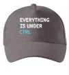 Кепка Everything is under ctrl Сірий фото