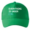Кепка Everything is under ctrl Зеленый Кепка Everything is under ctrl Зеленый фото