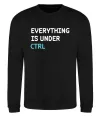 Свитшот Everything is under ctrl Черный Свитшот Everything is under ctrl Черный фото
