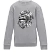 Детский Свитшот Land Loot Survive Серый меланж фото