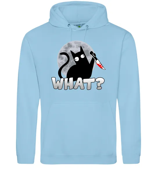 Мужская толстовка (худи) Кіт what? Голубой фото