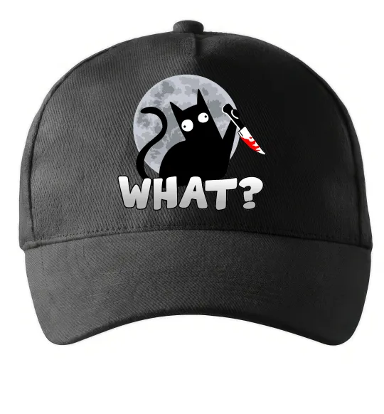 Кепка Кіт what? Черный фото
