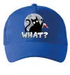 Кепка Кіт what? Ярко-синий фото