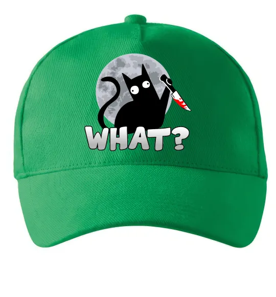 Кепка Кіт what? Зеленый фото