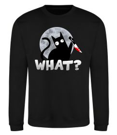 Світшот Кіт what? Світшот Кіт what?