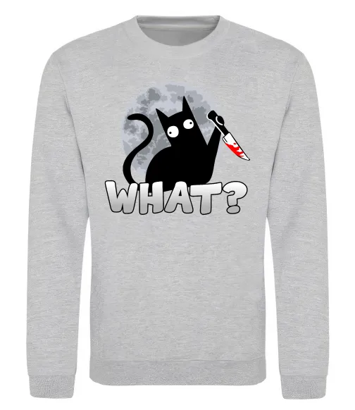 Світшот Кіт what? Сірий меланж фото
