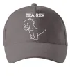 Кепка Tea-rex Серый фото