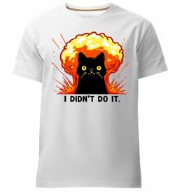 Чоловіча преміум футболка Кіт Це не я Чоловіча преміум футболка Кіт Це не я
